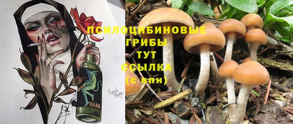 синтетический гашиш Алексин