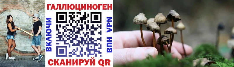 Псилоцибиновые грибы Magic Shrooms  Воткинск 